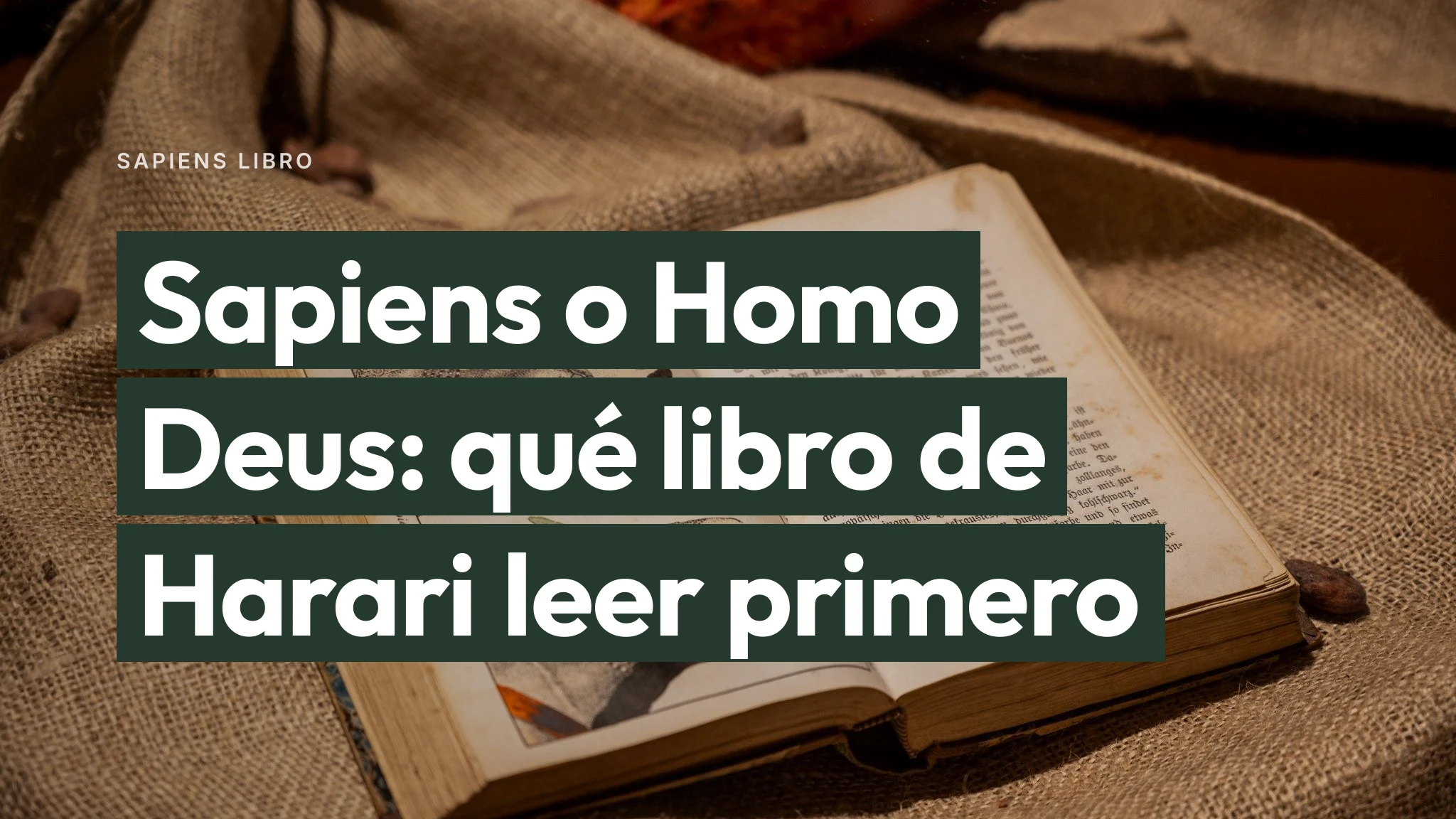 Portada de Sapiens o Homo Deus: qué libro de Harari leer primero